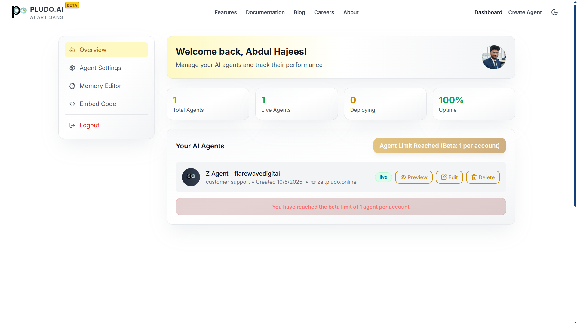 Pludo Builder AI Models